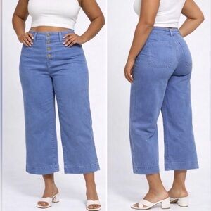 MADEWELL Emmett Wide-Leg Crop Pants blue cotton blend with button fly NWOT